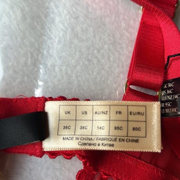 Dita Von Teese Fiamma Bodusuit - Picture 16 of 16